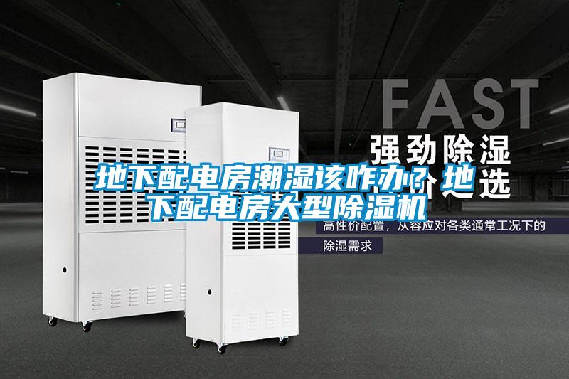 地下配電房潮濕該咋辦？地下配電房大型除濕機