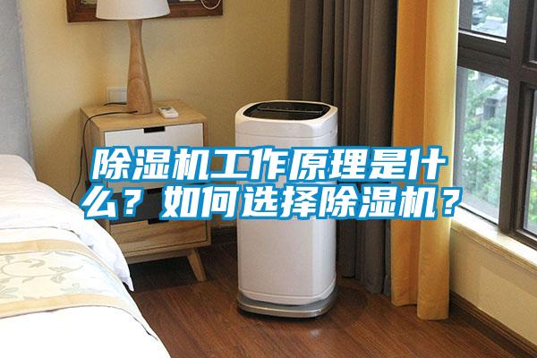 除濕機工作原理是什么？如何選擇除濕機？
