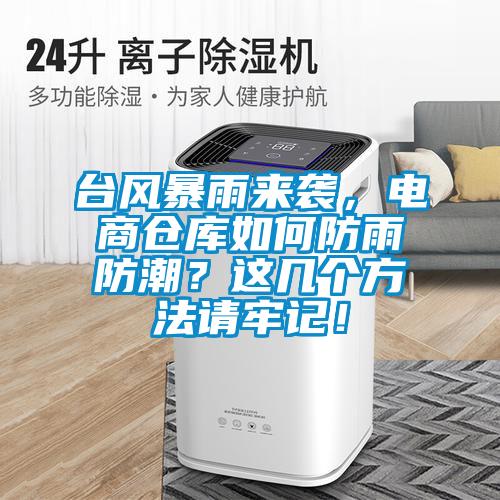 臺風暴雨來襲，電商倉庫如何防雨防潮？這幾個方法請牢記！