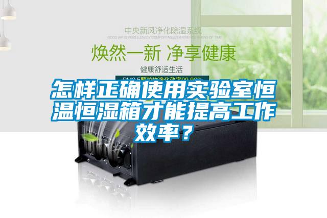 怎樣正確使用實驗室恒溫恒濕箱才能提高工作效率？
