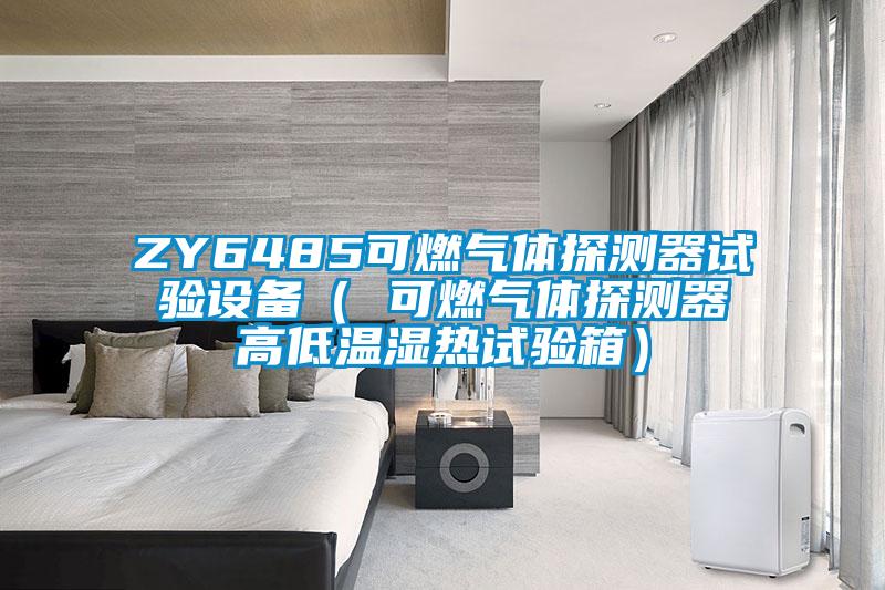 ZY6485可燃?xì)怏w探測器試驗設(shè)備（ 可燃?xì)怏w探測器高低溫濕熱試驗箱）