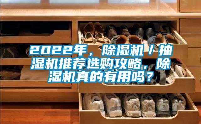 2022年，除濕機／抽濕機推薦選購攻略，除濕機真的有用嗎？