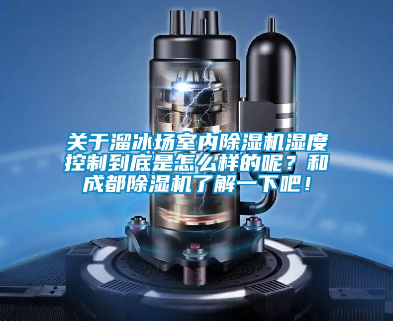 關于溜冰場室內除濕機濕度控制到底是怎么樣的呢？和成都除濕機了解一下吧！