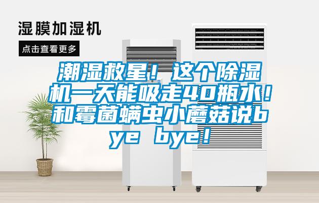 潮濕救星！這個除濕機(jī)一天能吸走40瓶水！和霉菌螨蟲小蘑菇說bye bye！