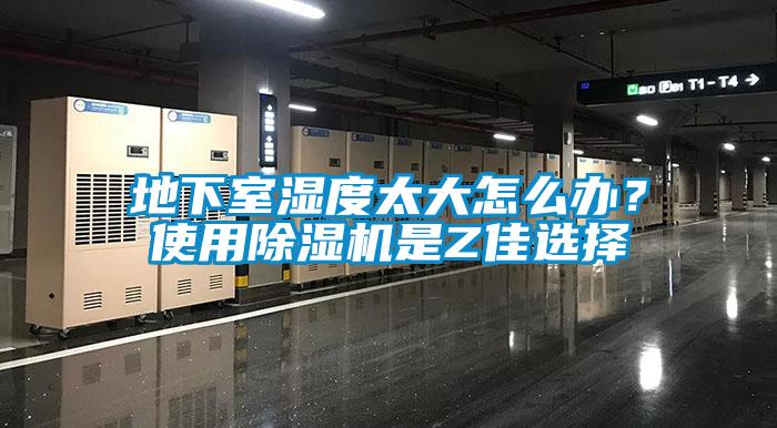 地下室濕度太大怎么辦？使用除濕機是Z佳選擇