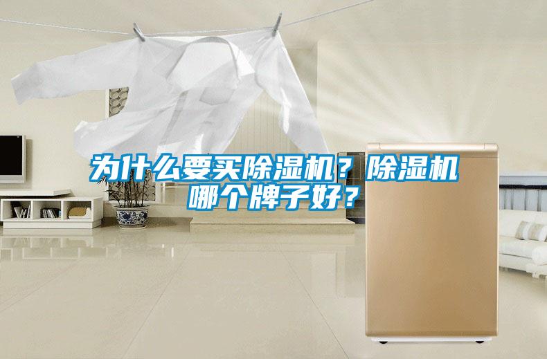 為什么要買除濕機？除濕機哪個牌子好？