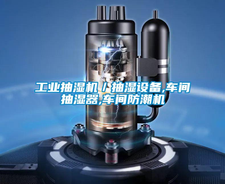 工業(yè)抽濕機／抽濕設(shè)備,車間抽濕器,車間防潮機