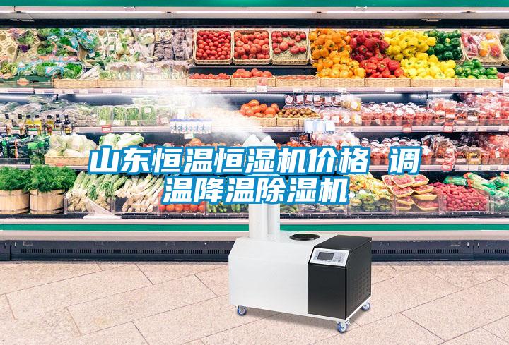 山東恒溫恒濕機(jī)價格 調(diào)溫降溫除濕機(jī)
