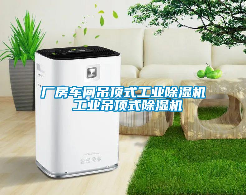 廠(chǎng)房車(chē)間吊頂式工業(yè)除濕機(jī) 工業(yè)吊頂式除濕機(jī)