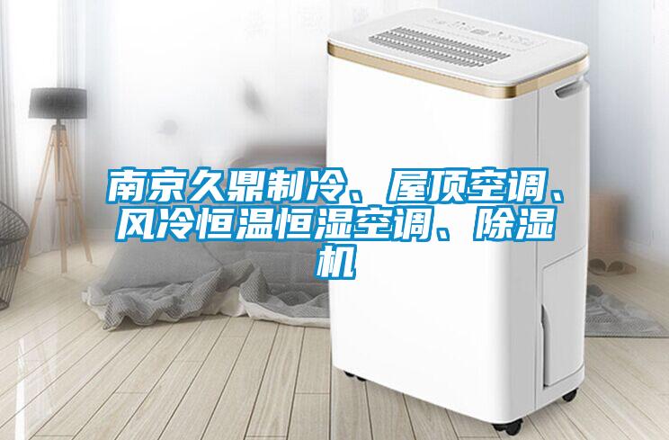 南京久鼎制冷、屋頂空調、風冷恒溫恒濕空調、除濕機