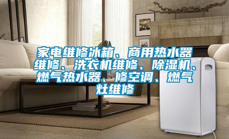 家電維修冰箱、商用熱水器維修、洗衣機維修、除濕機、燃氣熱水器、修空調、燃氣灶維修