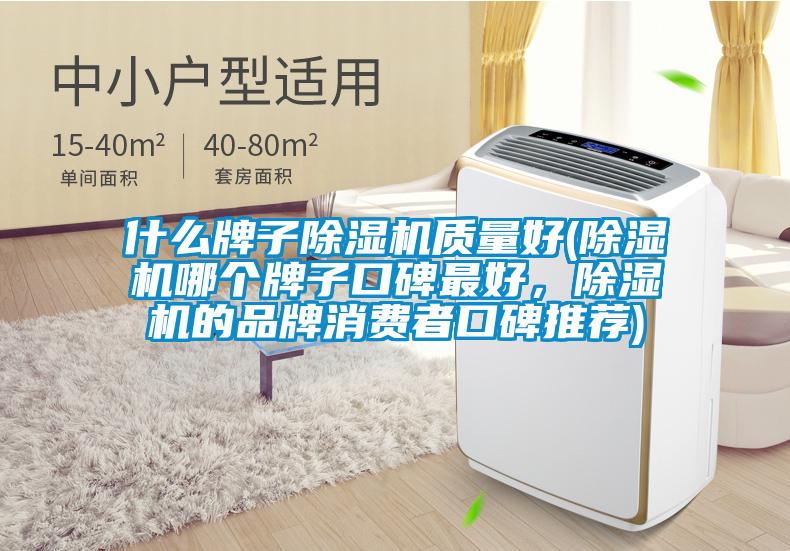 什么牌子除濕機質量好(除濕機哪個牌子口碑最好，除濕機的品牌消費者口碑推薦)