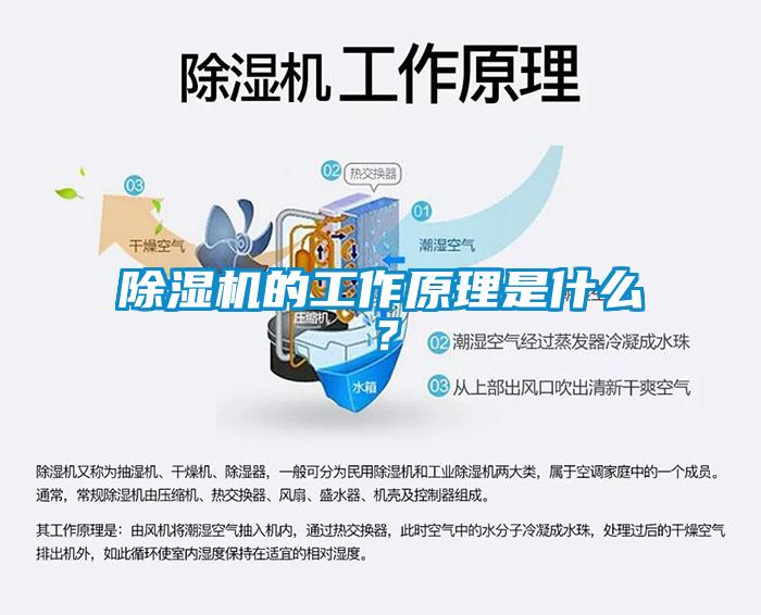 除濕機的工作原理是什么？