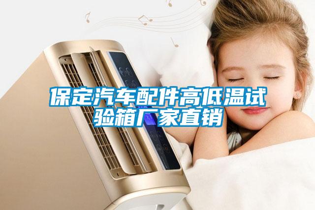 保定汽車(chē)配件高低溫試驗(yàn)箱廠(chǎng)家直銷(xiāo)