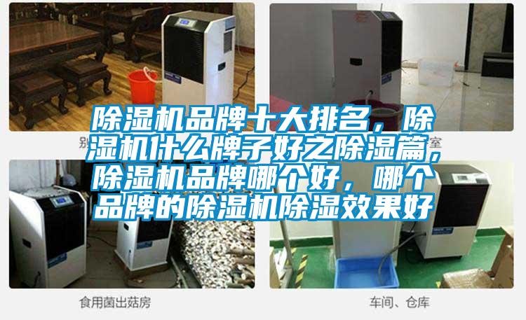 除濕機品牌十大排名，除濕機什么牌子好之除濕篇，除濕機品牌哪個好，哪個品牌的除濕機除濕效果好