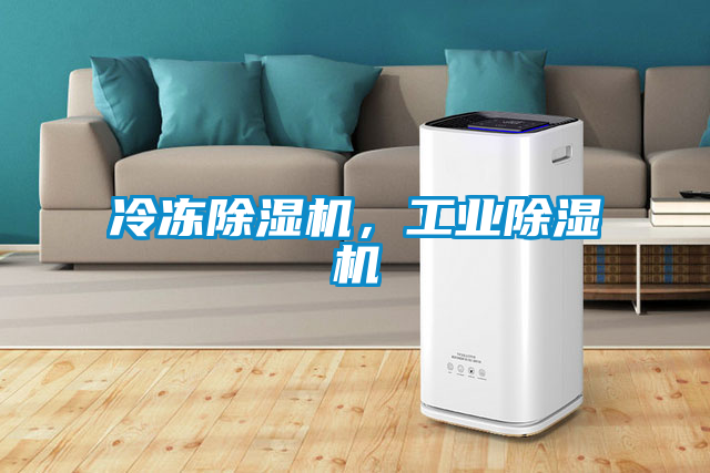 冷凍除濕機，工業除濕機