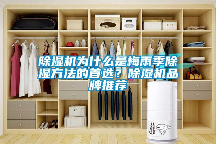 除濕機為什么是梅雨季除濕方法的首選？除濕機品牌推薦