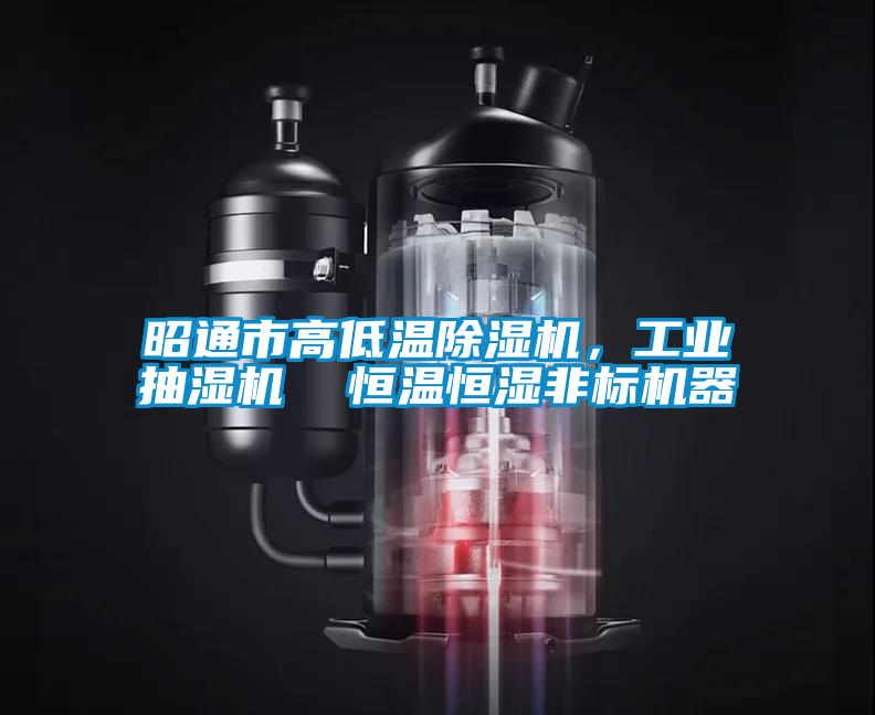 昭通市高低溫除濕機，工業(yè)抽濕機  恒溫恒濕非標(biāo)機器