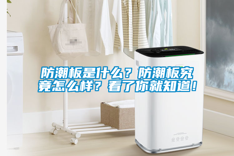 防潮板是什么？防潮板究竟怎么樣？看了你就知道！