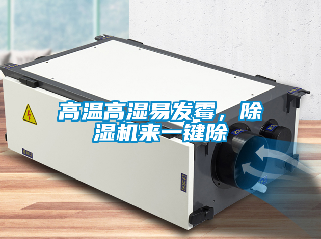高溫高濕易發(fā)霉，除濕機(jī)來一鍵除
