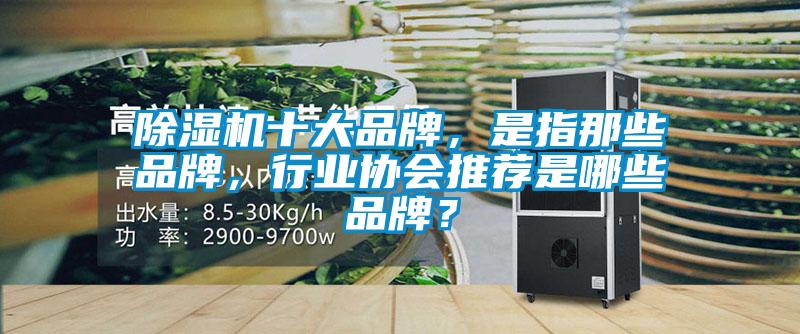 除濕機十大品牌，是指那些品牌，行業(yè)協(xié)會推薦是哪些品牌？