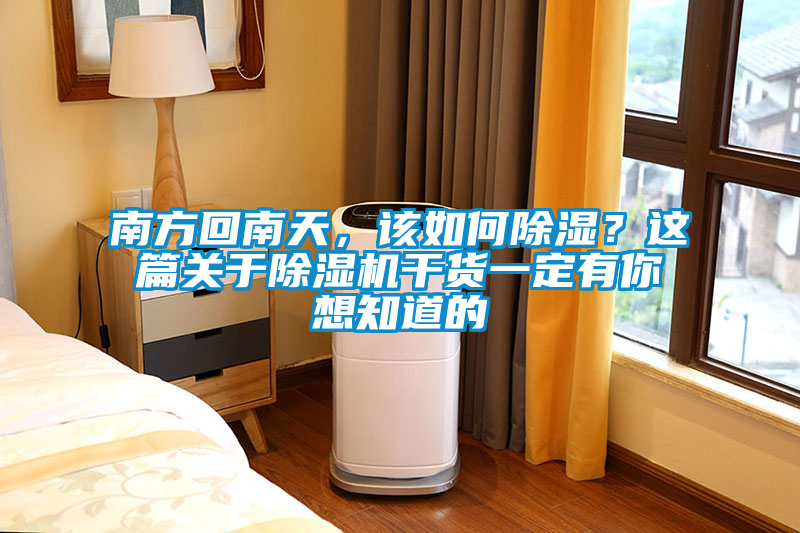 南方回南天，該如何除濕？這篇關于除濕機干貨一定有你想知道的