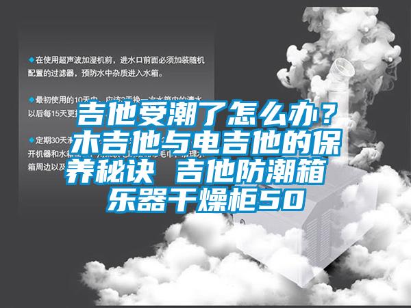 吉他受潮了怎么辦？木吉他與電吉他的保養(yǎng)秘訣 吉他防潮箱 樂器干燥柜50