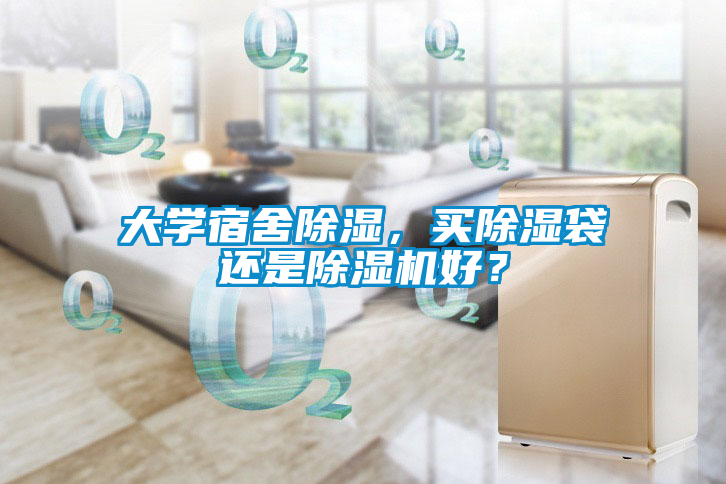 大學(xué)宿舍除濕，買除濕袋還是除濕機好？