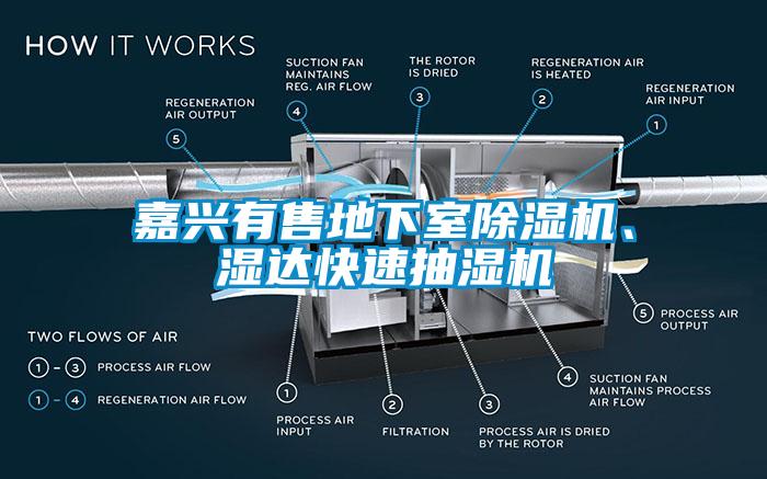 嘉興有售地下室除濕機(jī)、濕達(dá)快速抽濕機(jī)