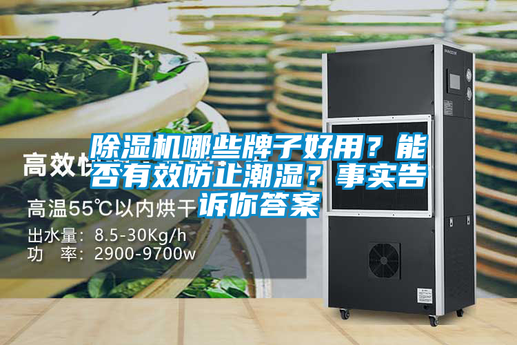 除濕機哪些牌子好用？能否有效防止潮濕？事實告訴你答案