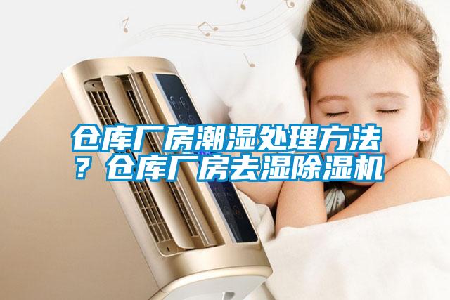 倉(cāng)庫(kù)廠房潮濕處理方法？倉(cāng)庫(kù)廠房去濕除濕機(jī)