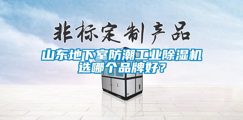 山東地下室防潮工業(yè)除濕機(jī)選哪個(gè)品牌好？