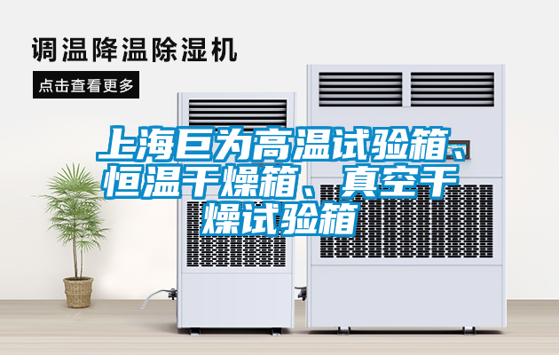 上海巨為高溫試驗(yàn)箱、恒溫干燥箱、真空干燥試驗(yàn)箱