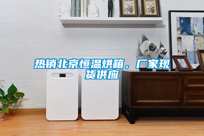 熱銷北京恒溫烘箱，廠家現貨供應