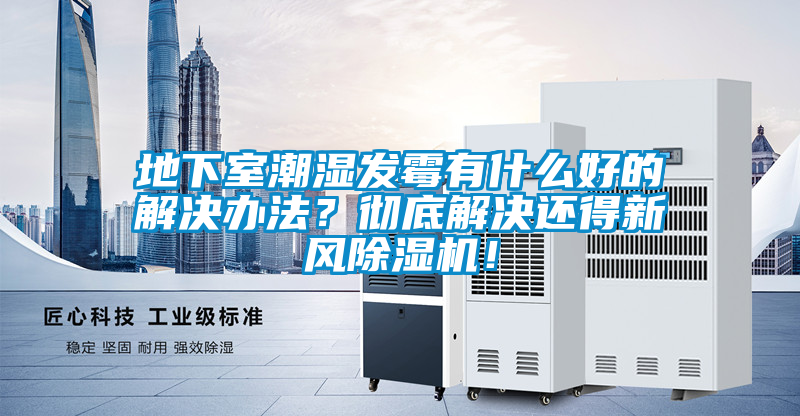 地下室潮濕發(fā)霉有什么好的解決辦法？徹底解決還得新風除濕機！