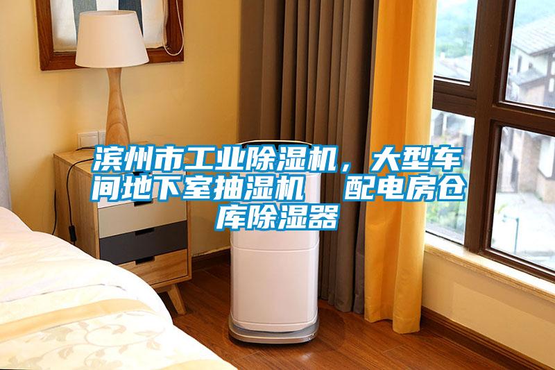 濱州市工業除濕機，大型車間地下室抽濕機  配電房倉庫除濕器