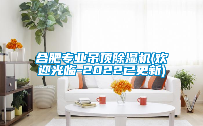 合肥專業(yè)吊頂除濕機(jī)(歡迎光臨-2022已更新)