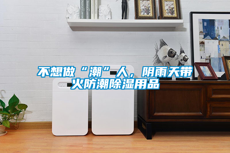 不想做“潮”人，陰雨天帶火防潮除濕用品