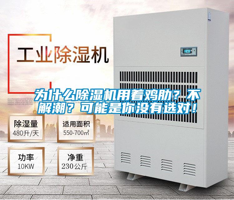 為什么除濕機(jī)用著雞肋？不解潮？可能是你沒有選對！