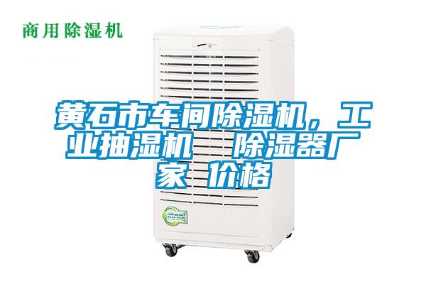 黃石市車間除濕機，工業抽濕機  除濕器廠家 價格