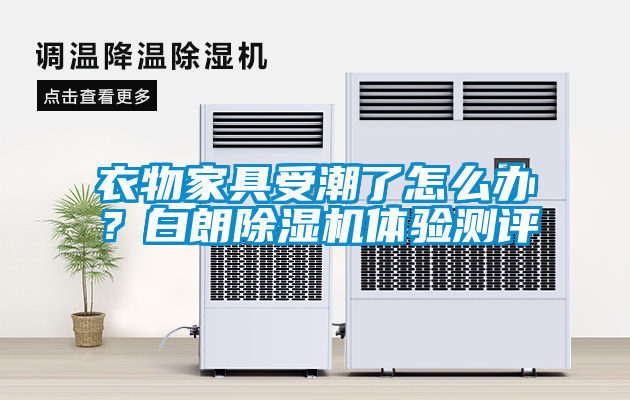 衣物家具受潮了怎么辦？白朗除濕機體驗測評