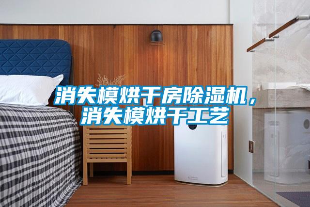 消失模烘干房除濕機，消失模烘干工藝