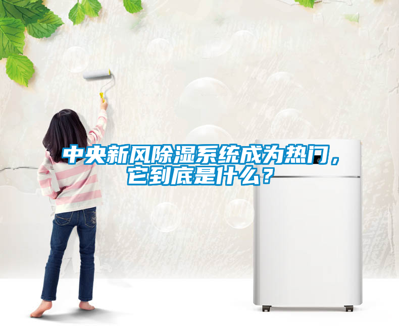 中央新風(fēng)除濕系統(tǒng)成為熱門，它到底是什么？