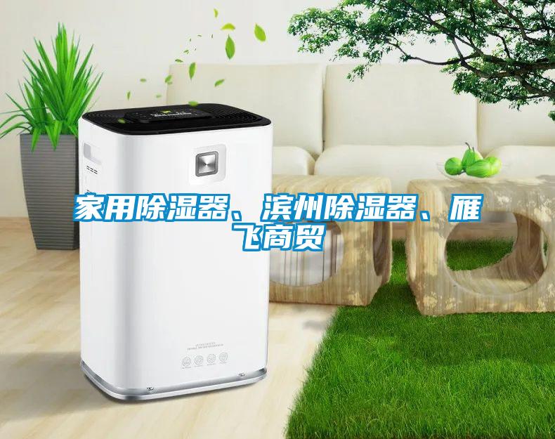 家用除濕器、濱州除濕器、雁飛商貿(mào)