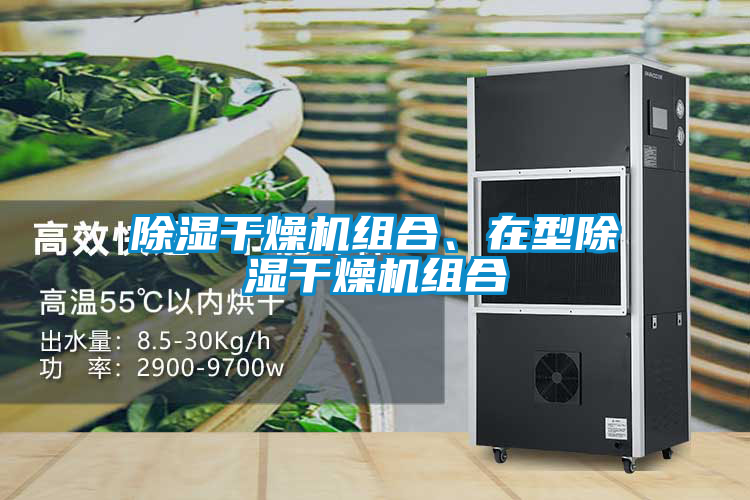 除濕干燥機(jī)組合、在型除濕干燥機(jī)組合