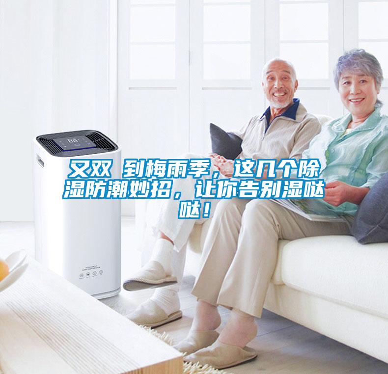 又雙叒到梅雨季，這幾個除濕防潮妙招，讓你告別濕噠噠！