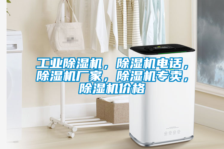 工業除濕機，除濕機電話，除濕機廠家，除濕機專賣，除濕機價格