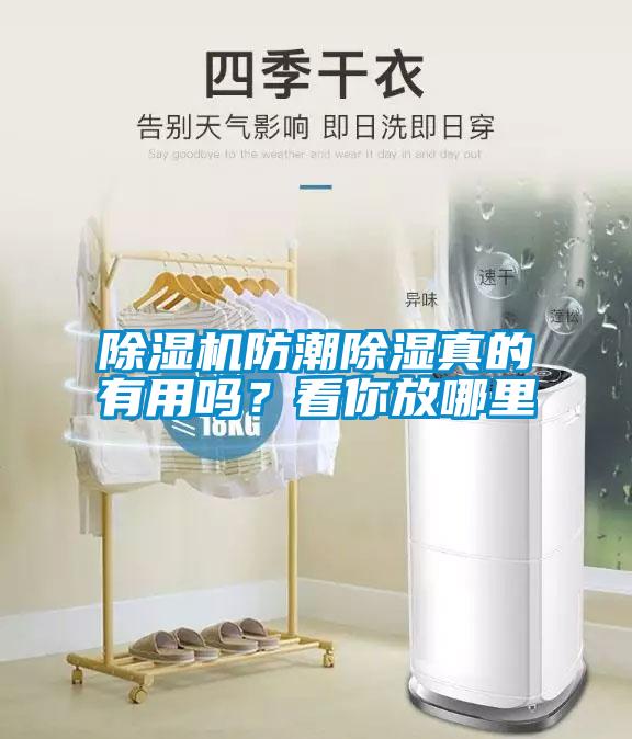 除濕機防潮除濕真的有用嗎？看你放哪里