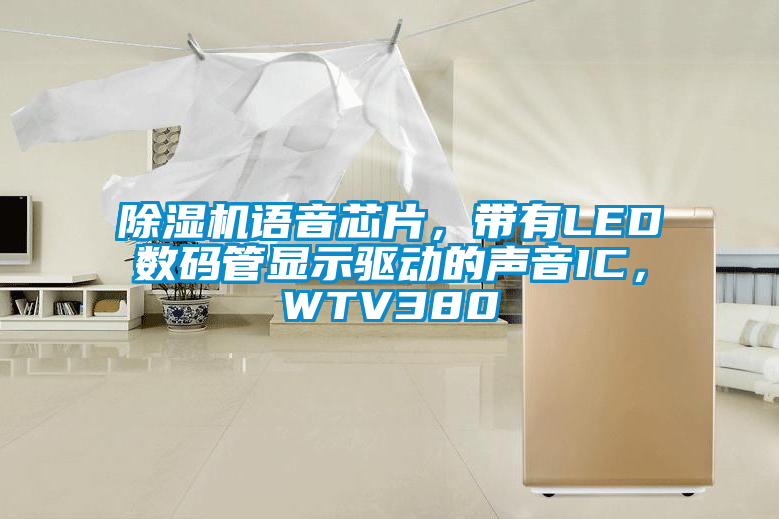 除濕機語音芯片，帶有LED數(shù)碼管顯示驅(qū)動的聲音IC，WTV380