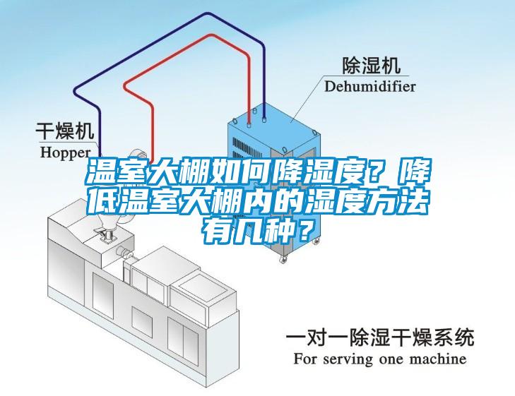 溫室大棚如何降濕度？降低溫室大棚內(nèi)的濕度方法有幾種？